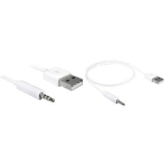 DeLOCK 1m Charging Data Cable - Fast, Reliable & Durable Connection (4043619831821)